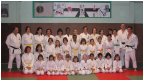 Les féminines du Dojo Landernéen